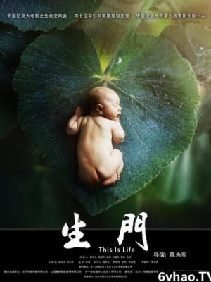 动画